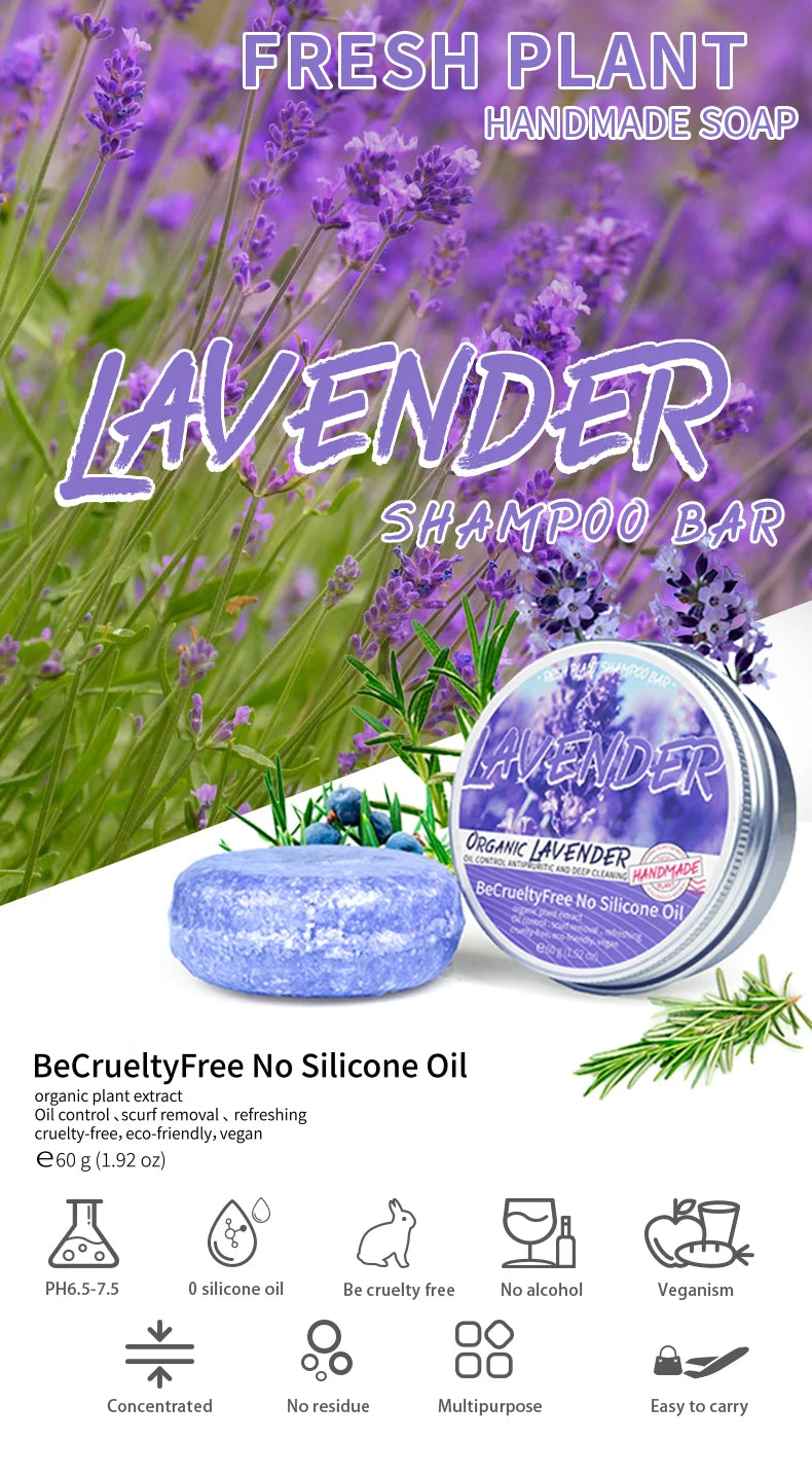 Lavender Shampoo – Refreshing, Oil-Control & Silicone-Free