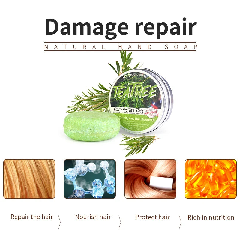 Tea Tree Plant Shampoo