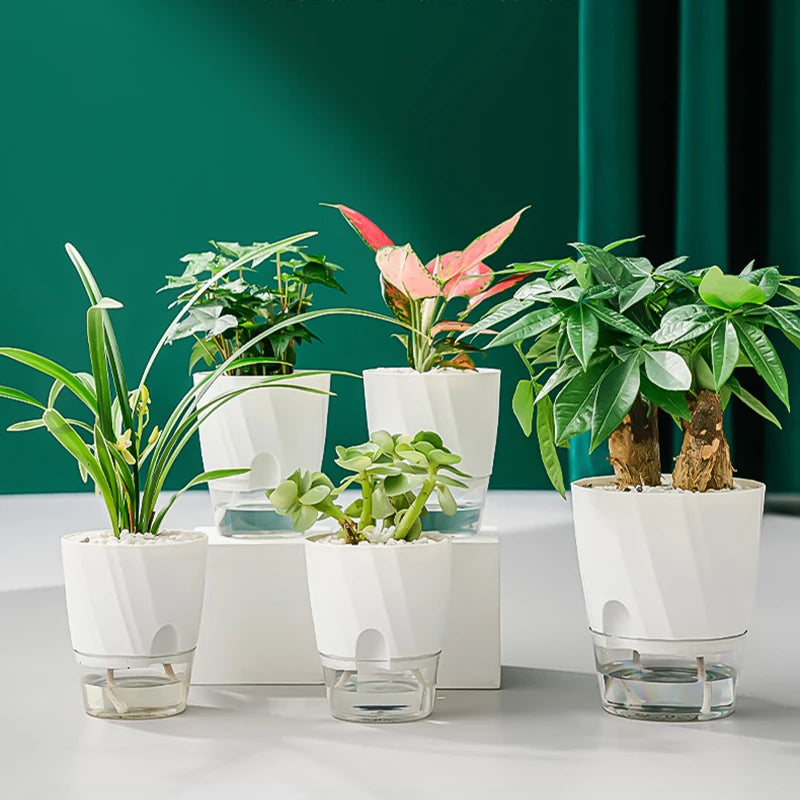 Self-Watering Hydroponic Flower Pot – Double Layer Design