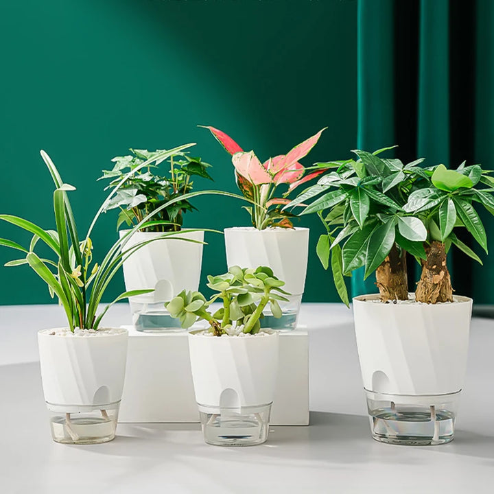 Self-Watering Hydroponic Flower Pot – Double Layer Design