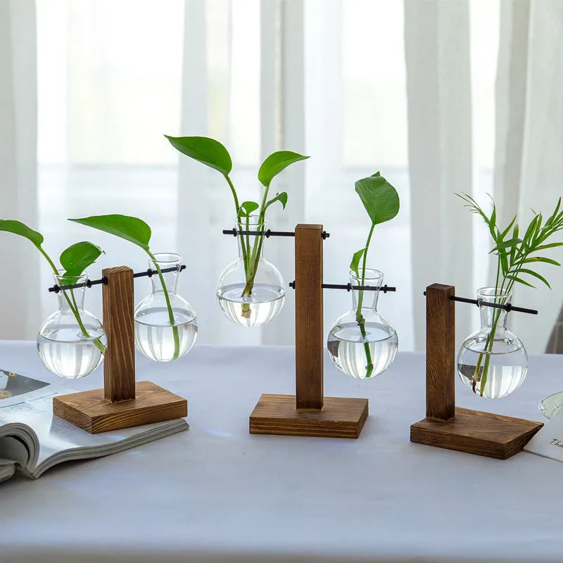 Wooden Frame Hydroponic Glass Vase – Desk Plant Decor