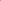 Tea Tree Plant Shampoo