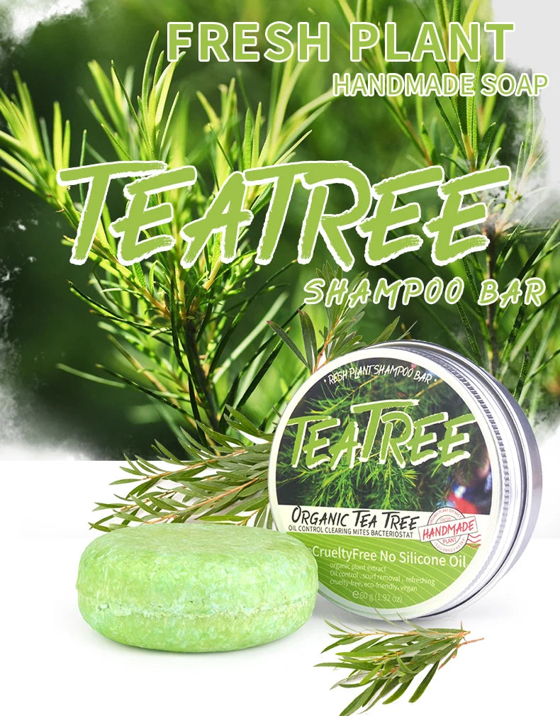 Tea Tree Plant Shampoo