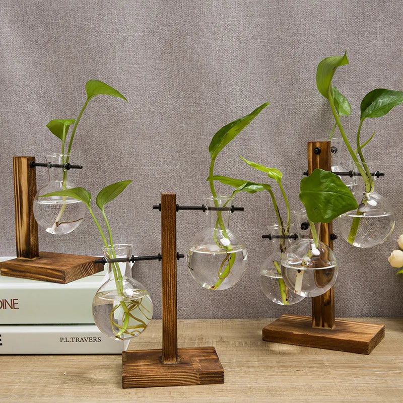 Wooden Frame Hydroponic Glass Vase – Desk Plant Decor