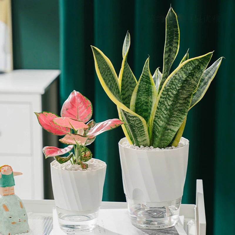 Self-Watering Hydroponic Flower Pot – Double Layer Design