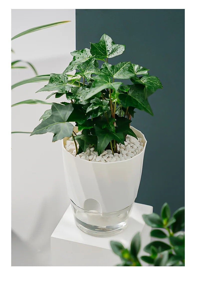 Self-Watering Hydroponic Flower Pot – Double Layer Design