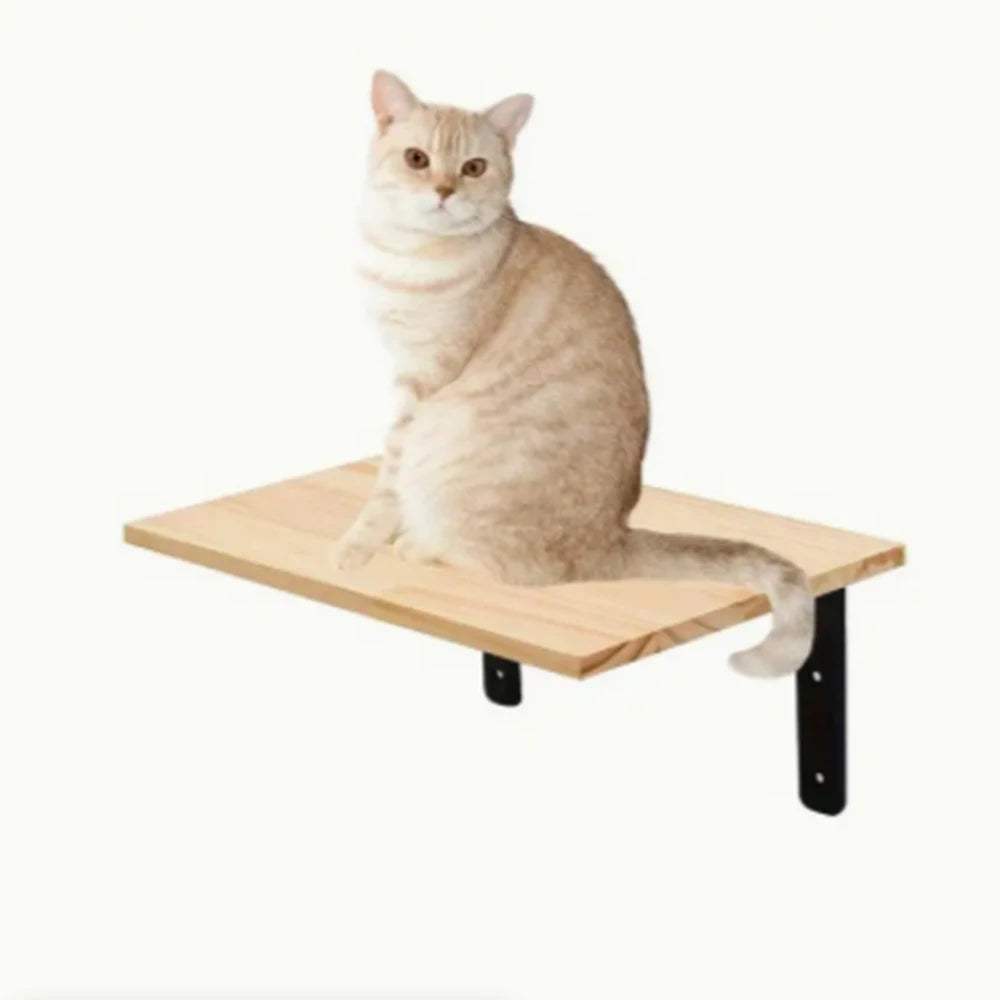 Wall-Mounted Cat Climbing Frame – 50cm Ladder, Hammock, Sisal Post & Pedal for Indoor Cats