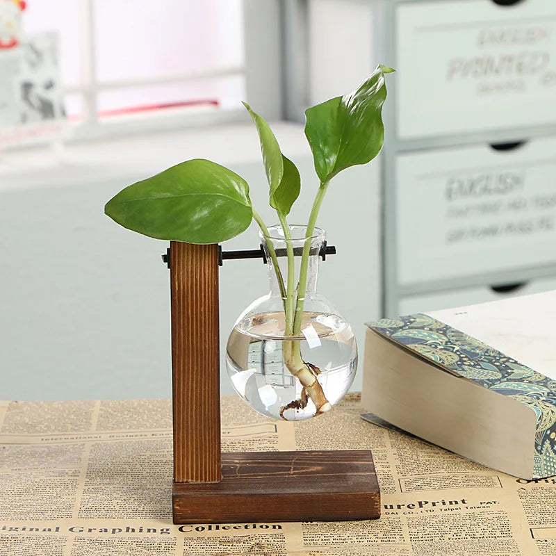 Wooden Frame Hydroponic Glass Vase – Desk Plant Decor