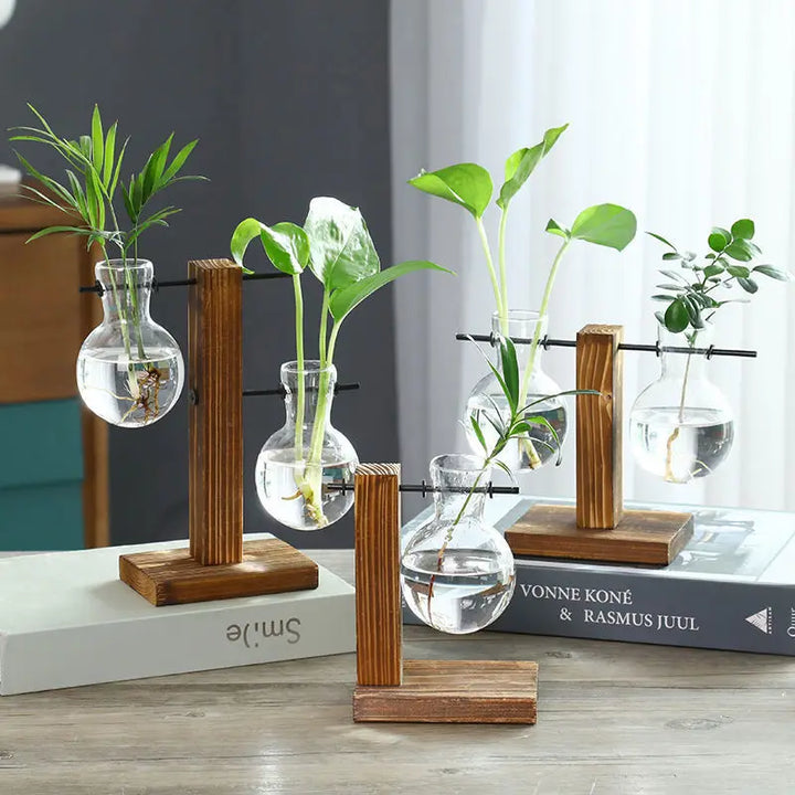 Wooden Frame Hydroponic Glass Vase – Desk Plant Decor