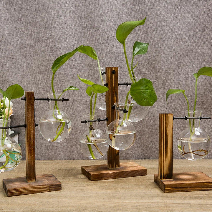Wooden Frame Hydroponic Glass Vase – Desk Plant Decor