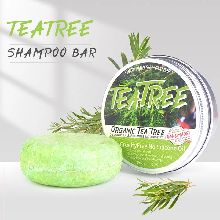 Tea Tree Plant Shampoo