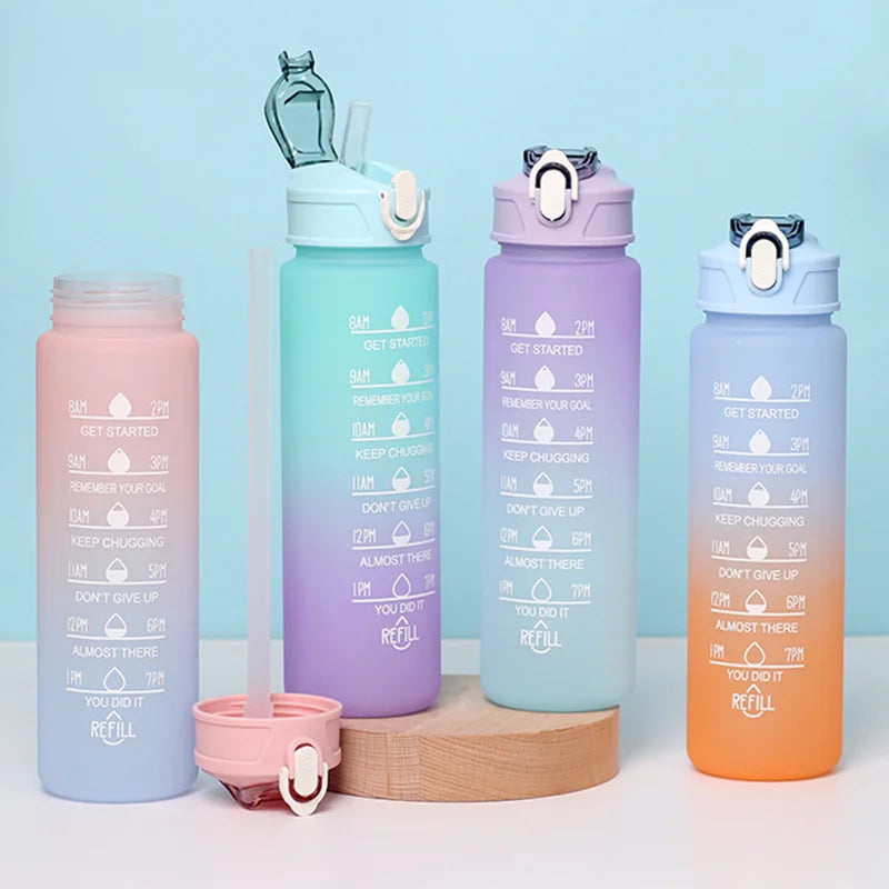700ml Rainbow Frosted Sports Water Bottle – With Straw & Gradient Design
