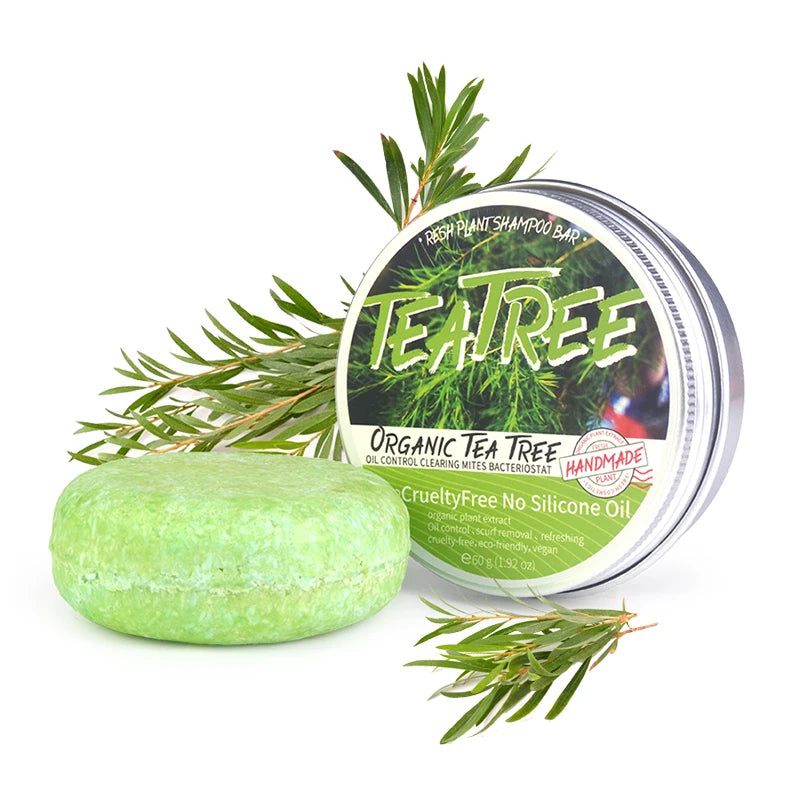 Tea Tree Plant Shampoo