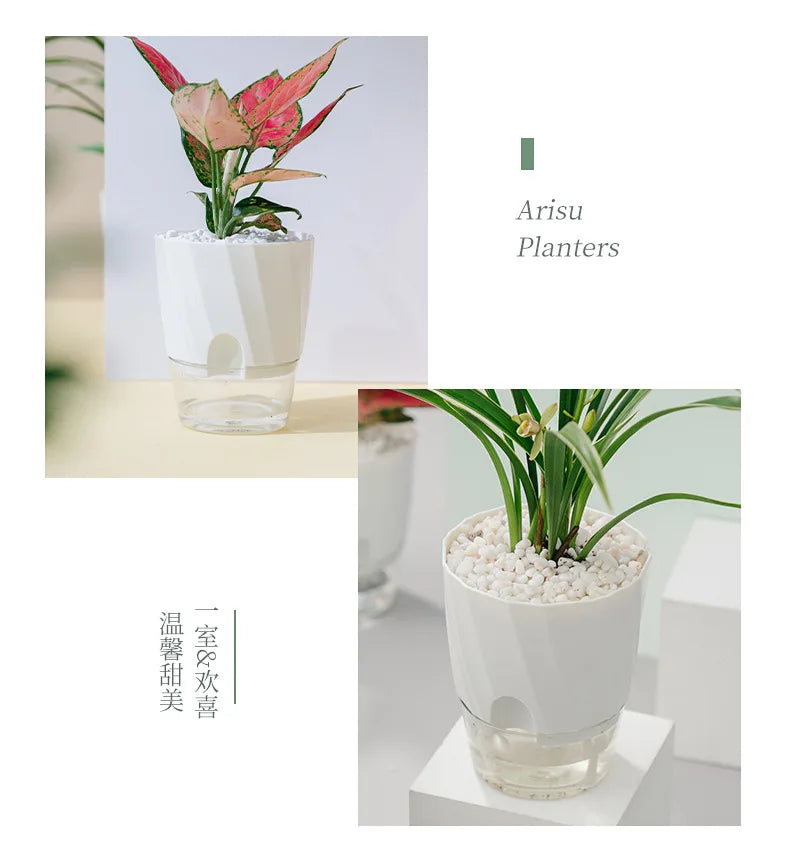 Self-Watering Hydroponic Flower Pot – Double Layer Design