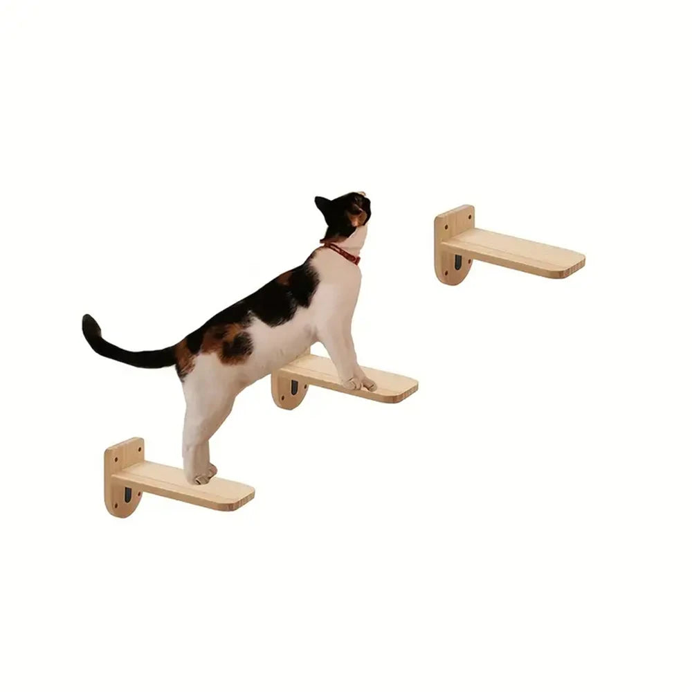 Wall-Mounted Cat Climbing Frame – 50cm Ladder, Hammock, Sisal Post & Pedal for Indoor Cats