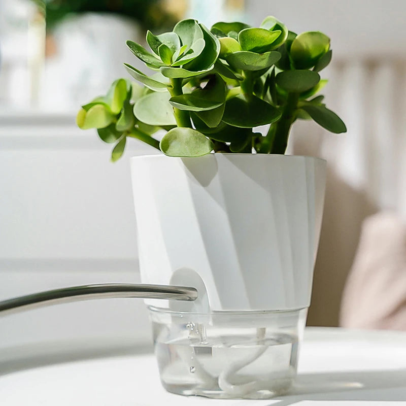 Self-Watering Hydroponic Flower Pot – Double Layer Design