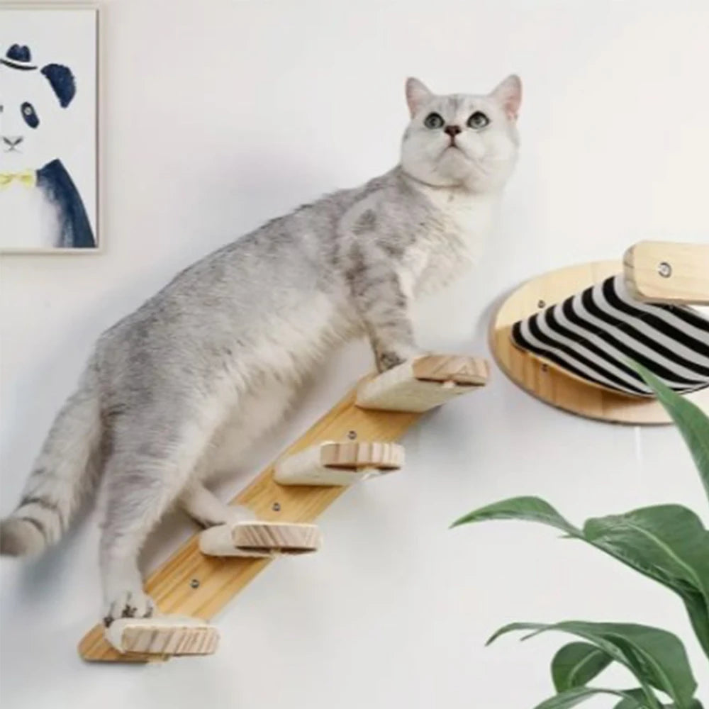 Wall-Mounted Cat Climbing Frame – 50cm Ladder, Hammock, Sisal Post & Pedal for Indoor Cats